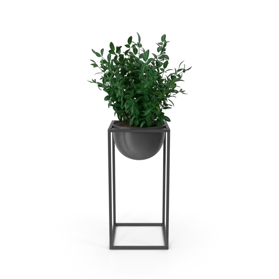 Plant Stand with Planter