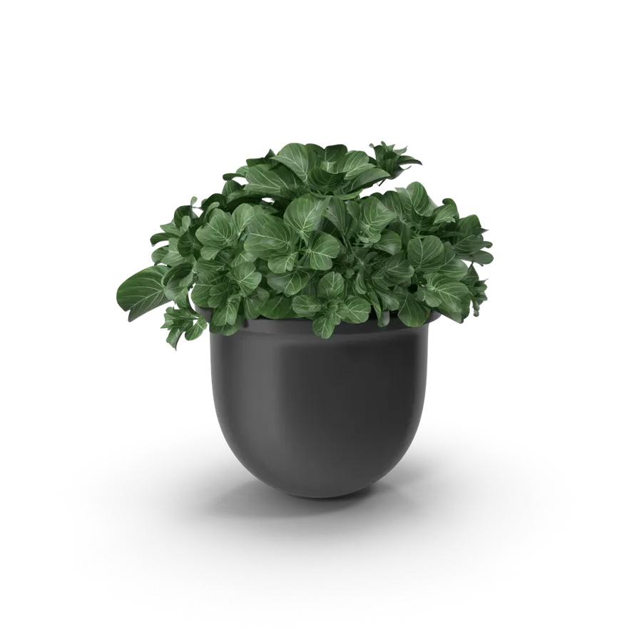 Stoneware Planter