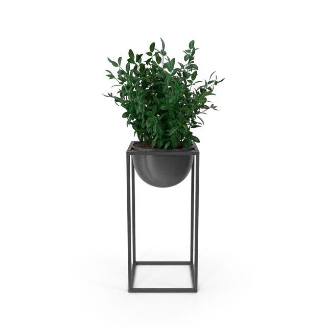 Plant Stand with Planter