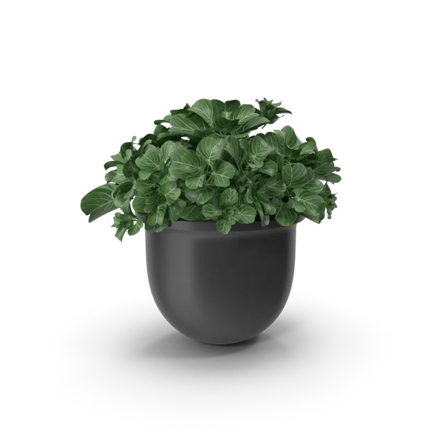 Stoneware Planter